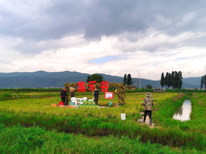 寻甸渔乐谷最新消息,寻甸欢乐世界项目大全