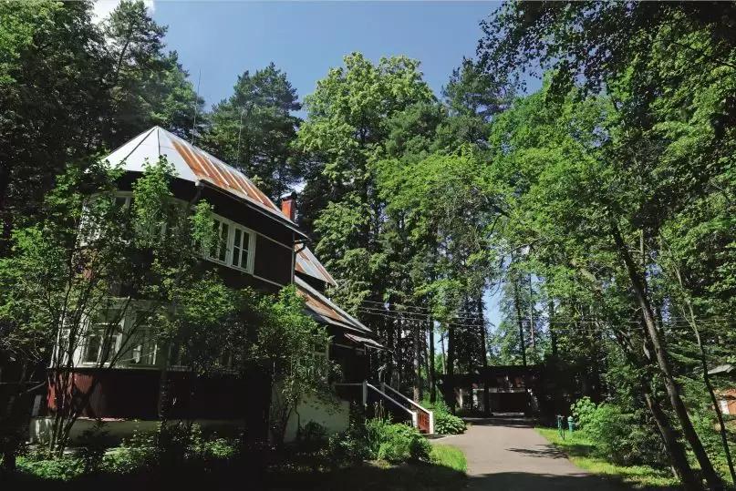 在莫斯科郊外的作家村，找寻《日瓦戈医生》的痕迹