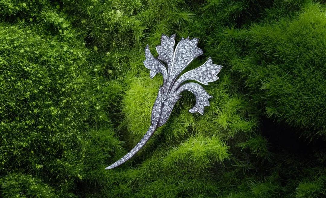 尚美巴黎刘亦菲代言,刘亦菲佩戴尚美巴黎珠宝