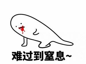 柯达巨型拼图,全球最大的5万片拼图