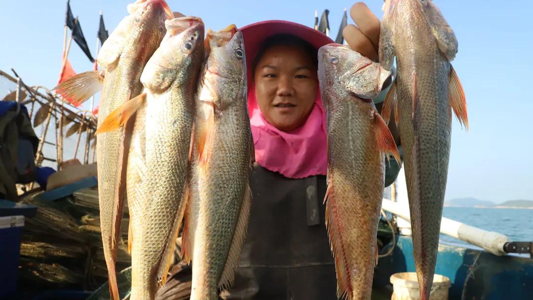 她辞职后在抖音直播赶海，两年获400万网友关注月销百万海鲜