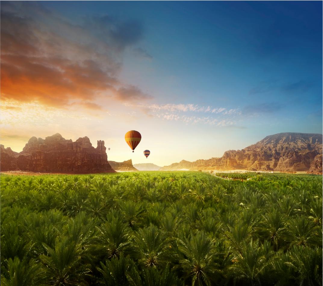 玩遍沙特阿拉伯，需要多少时间？