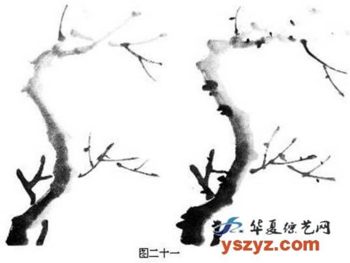 梅花画法简笔画,梅花画法的视频