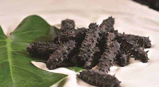 活海参加工即食全过程,内陆很难吃到的海鲜