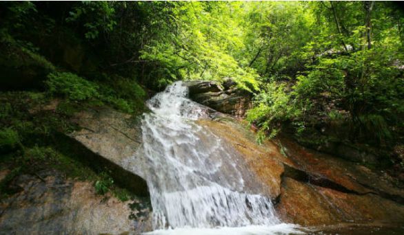 To全世界:灵宝向您发来一封邀请函,请亲启