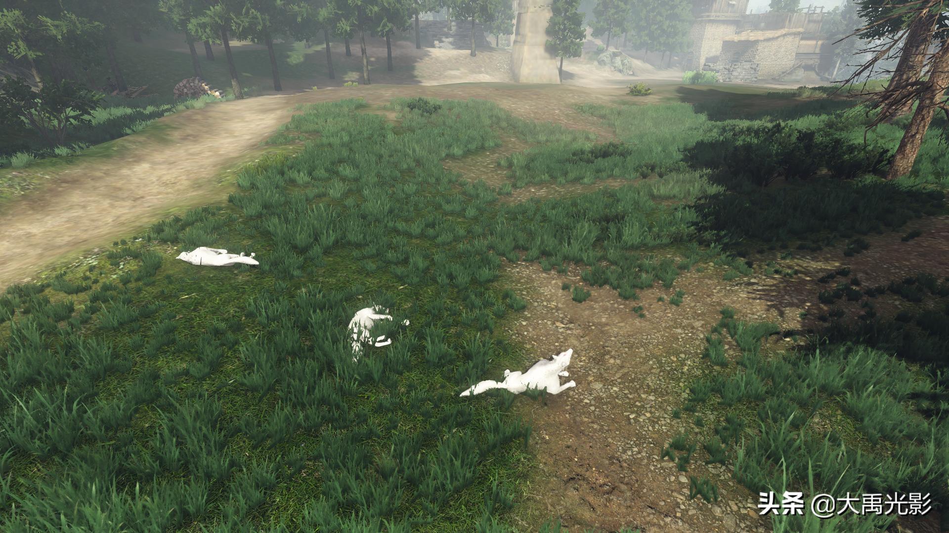 与狼相比，狗是一种品格低劣的物种