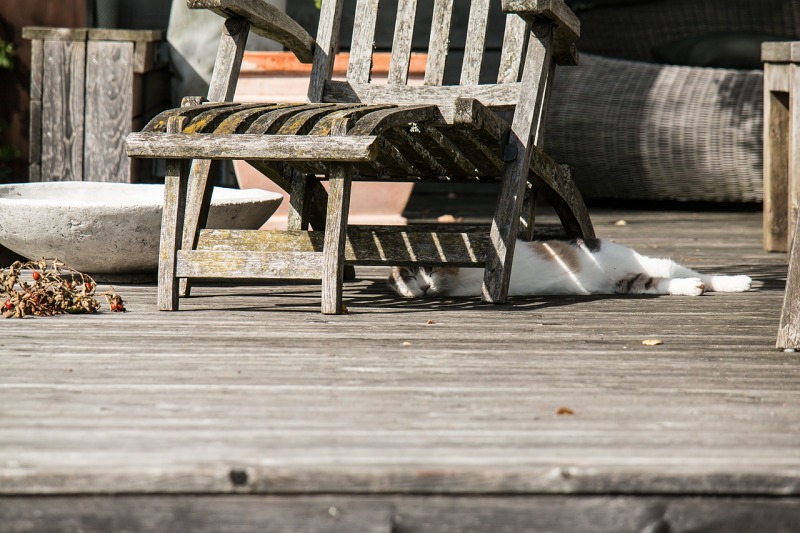 来自太阳的暴击:银屑病男子接受日光洗礼,惨遭病情恶化