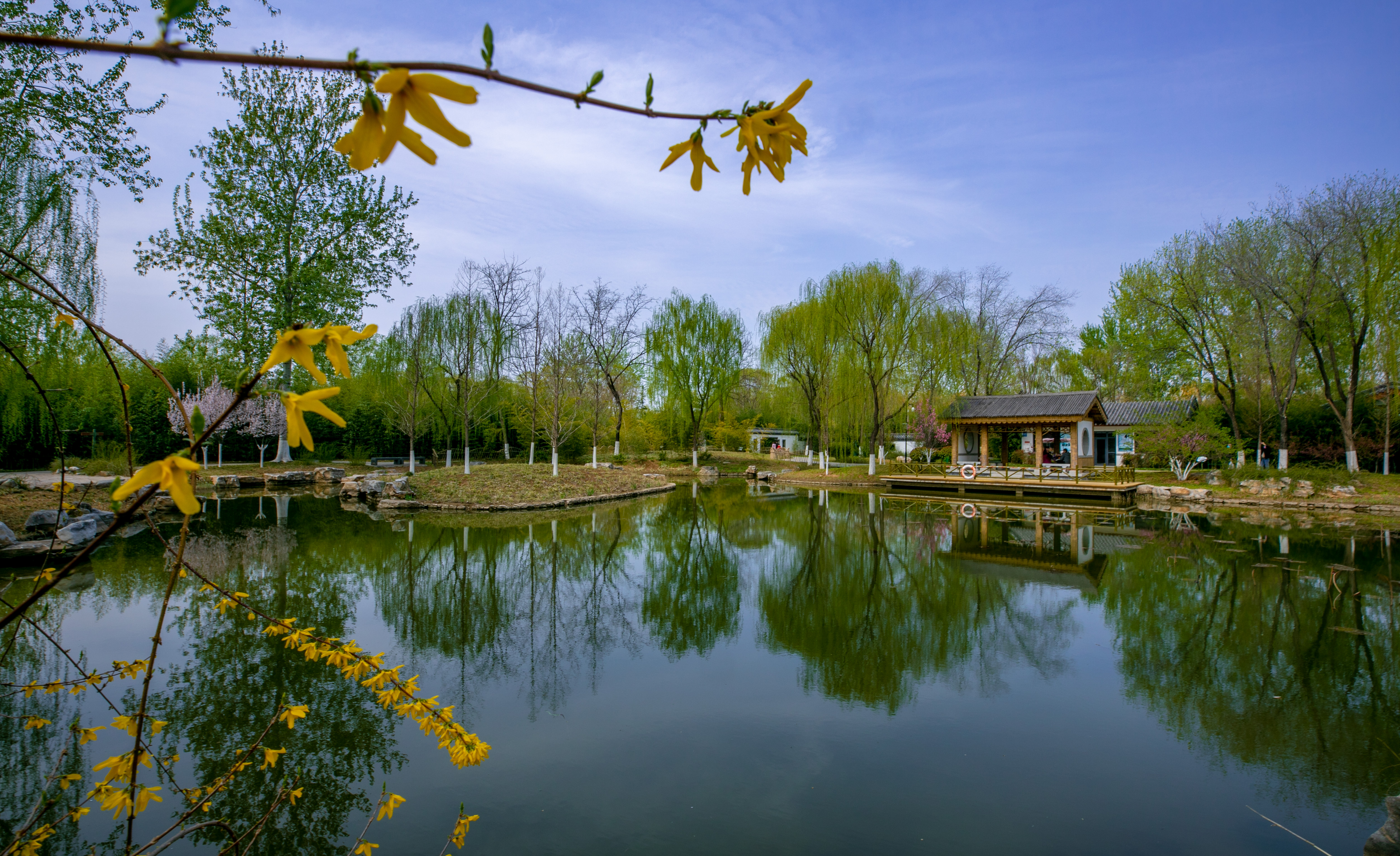 济南亲子旅游攻略二日游最佳路线,周末去哪儿亲子游济南