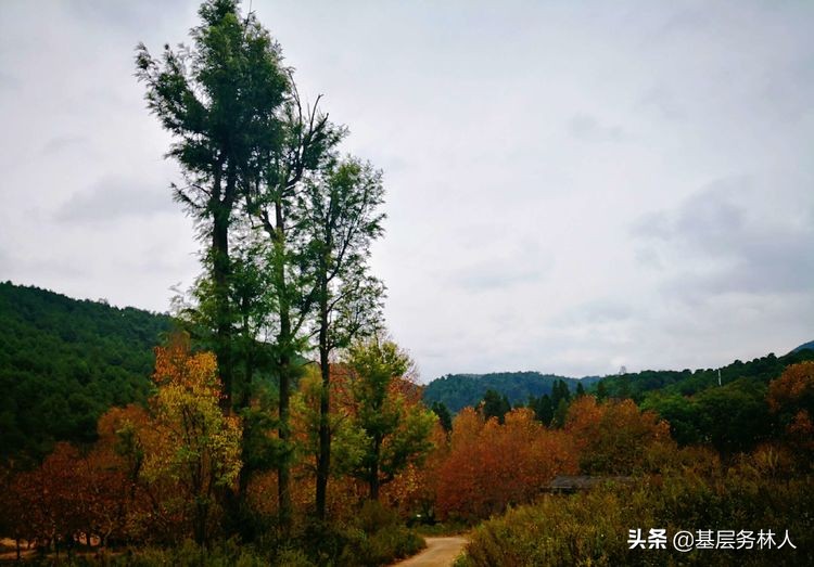 云南澄江兵工厂,云南兵工厂旧址