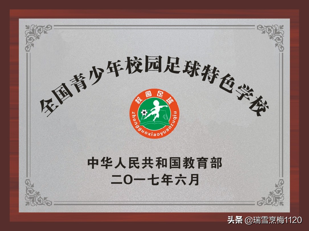 新城区足球联赛小学组冠军,新城子街第一小学喜报