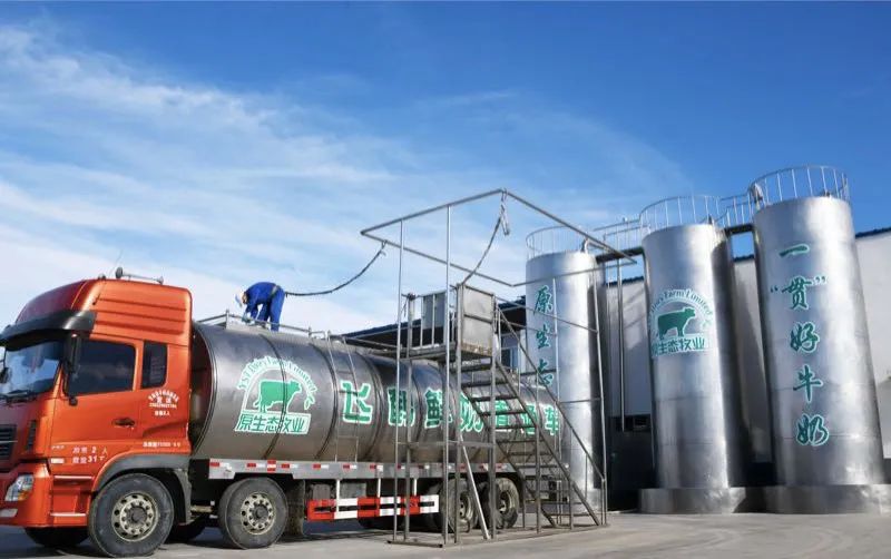 飞鹤奶粉中国奶粉标杆,飞鹤最新研发奶粉