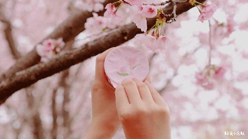 17元/颗的隐形草莓，荷兰来的