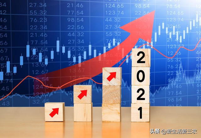 佛手柑种植新政策,佛手柑一亩种植成本