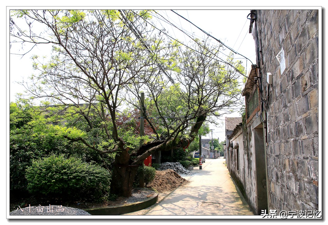 镇海十大古村落,宁波镇海区骆驼街道清水湖村