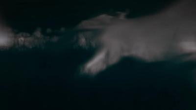 豆瓣netflix电影,bbc地球奇观纪录片