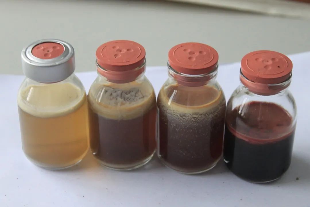 一颗匠心永流传,颗颗精工