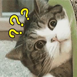 抗病性好的月季推荐,哪些月季品种抗病强