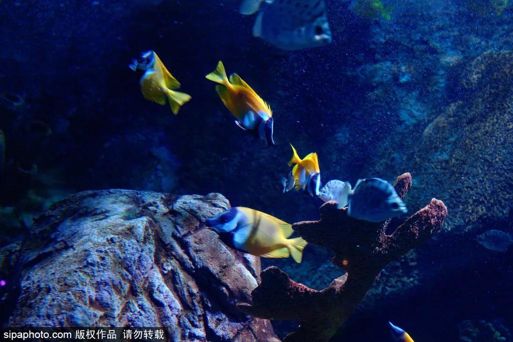 畅游北京5天费用,新版发行69元畅游北京70家景区