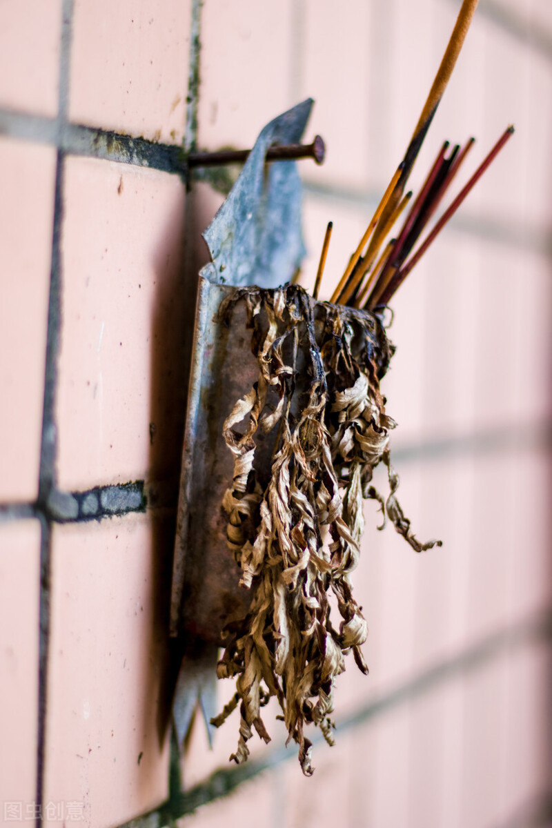 夏至到来，端午悬挂房前的艾草如何处置？5句老话知晓干艾5去处
