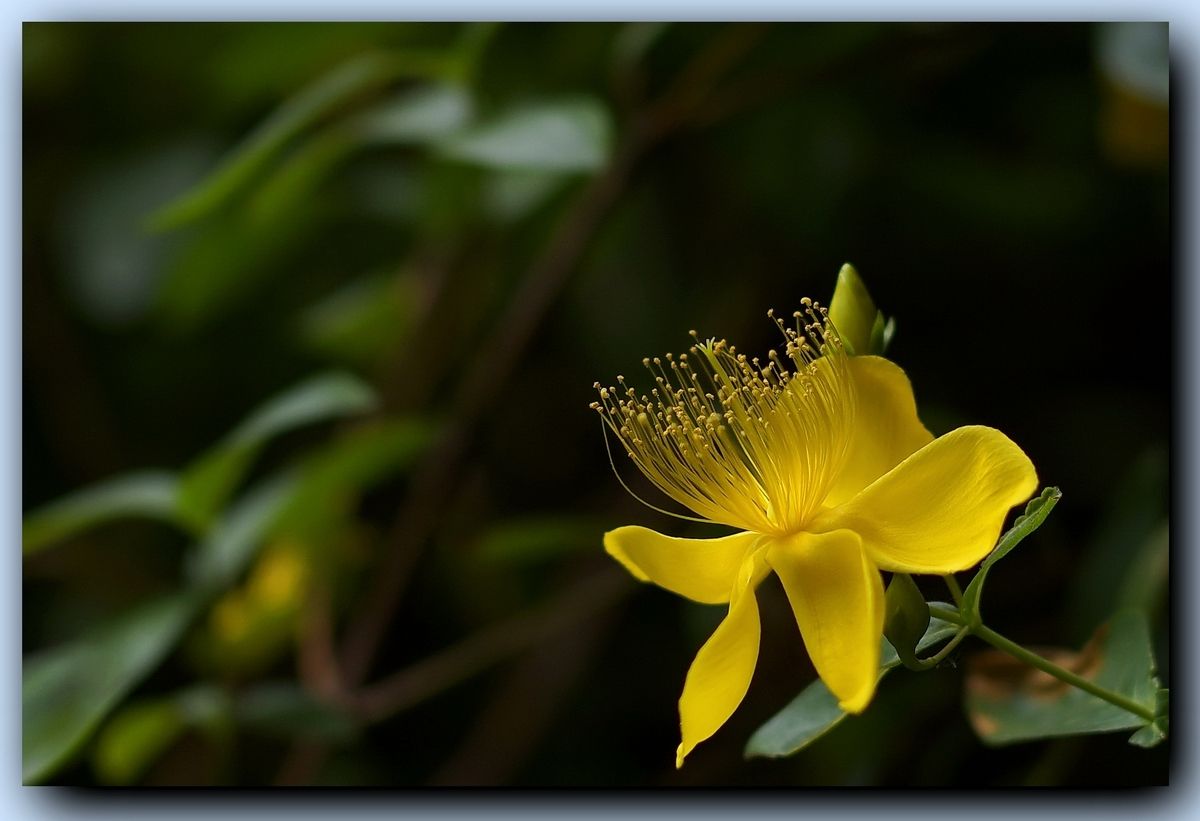 ps模糊锐化,ps怎么把人物清晰背景变模糊