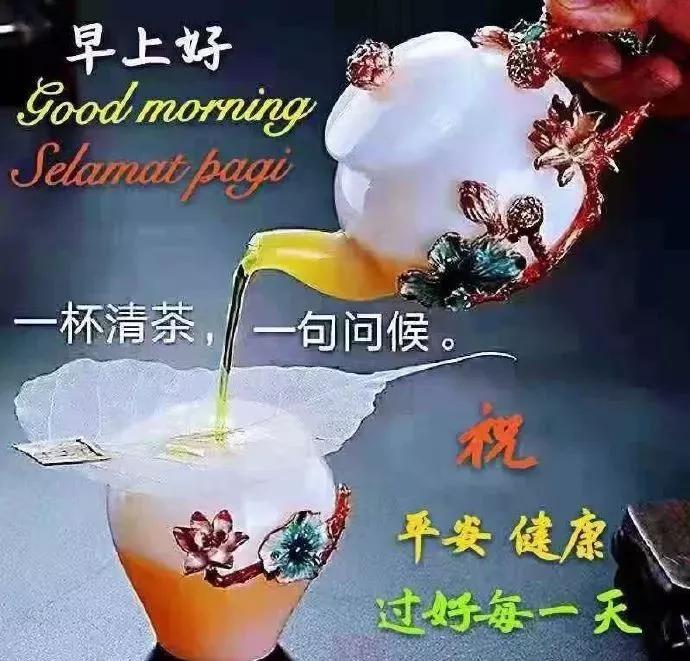 情没有密码，只有用心；爱没有模式，只能珍惜，早安