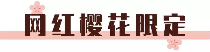 没时间去赏春,没时间去踏青