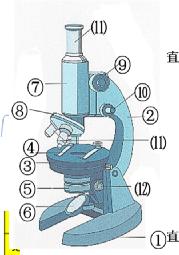 七年级上科学8-11章知识点总结,七年级上册华东师大版科学知识点