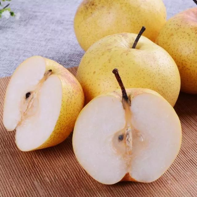 狗狗的十种禁忌食物,狗狗十大禁忌食物