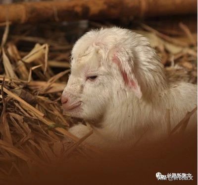 冬天小院自制炉子,农村瓦匠自制炉子