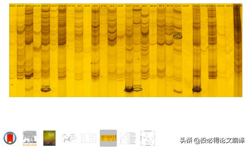 可以免费下载的pdf网站,不用登录免费的pdf网站