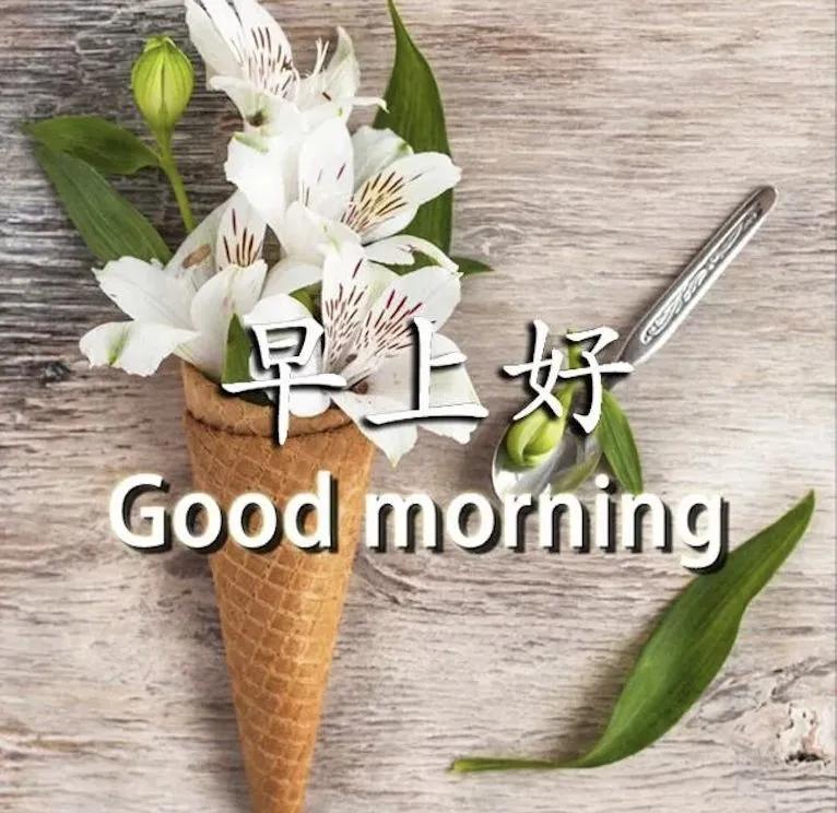 中老年表情包一切的美好源于早晨,中老年表情包活在当下且行且珍惜