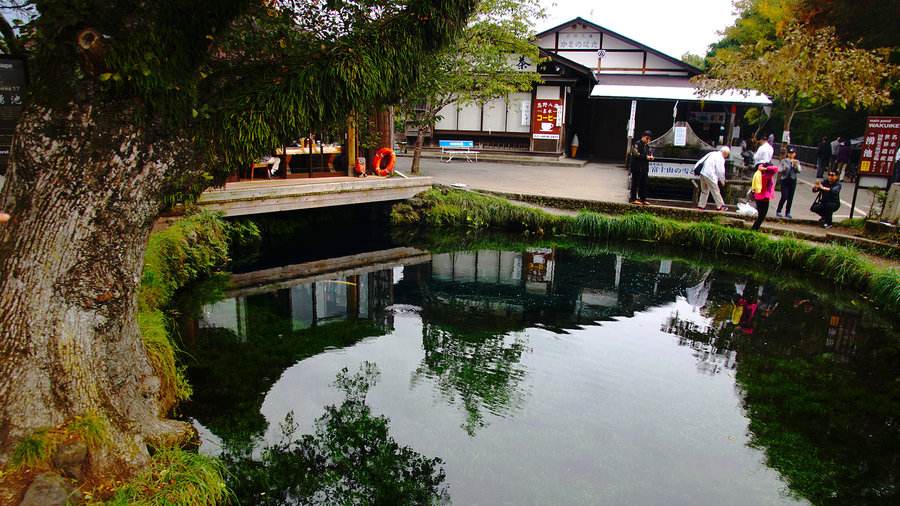 武汉到日本7日游报价,跟团日本旅游武汉出发多少钱合适