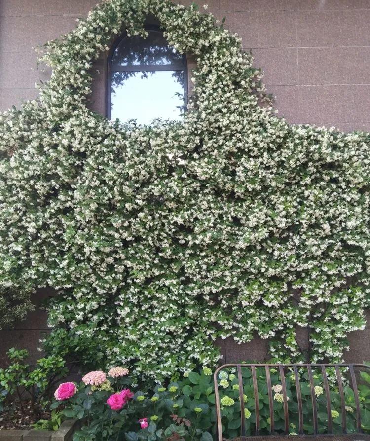 第七届园丁奖,第六届园丁奖奖励