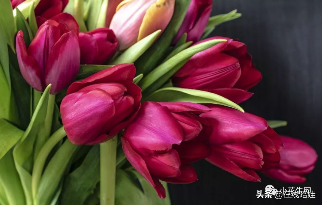 深度好文越自律越自由,深度好文养孩子