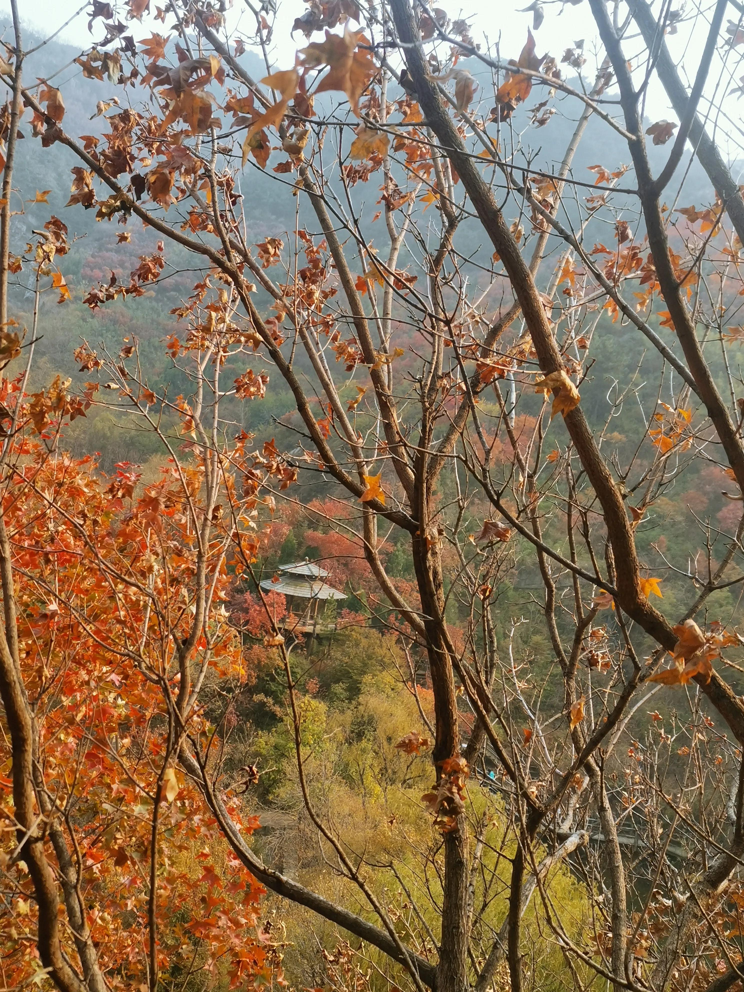 济南九如山瀑布群风景区,济南九如山瀑布