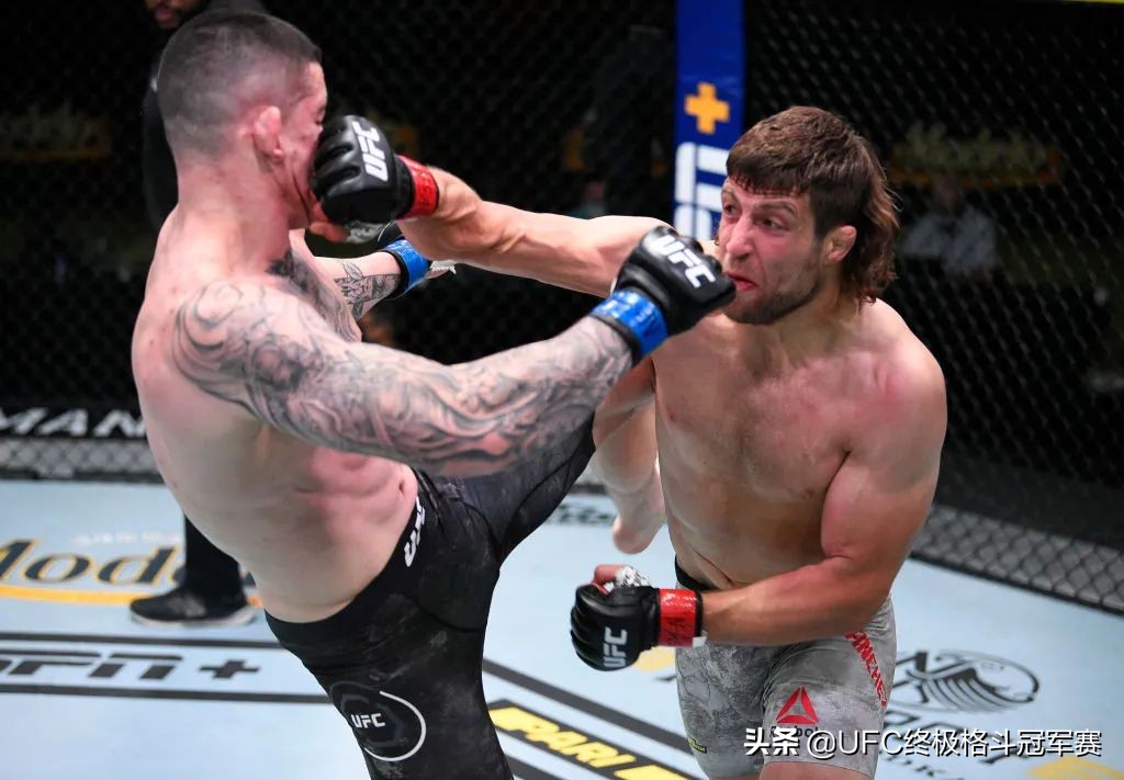 ufc257预告片,ufc257对阵图