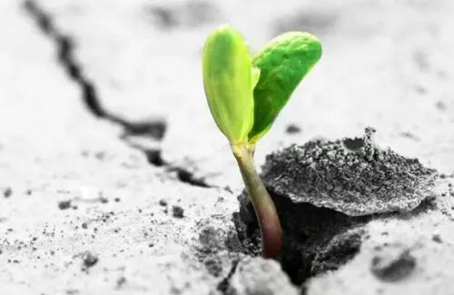 磨难该怎么度过,如何让人磨难成就更好