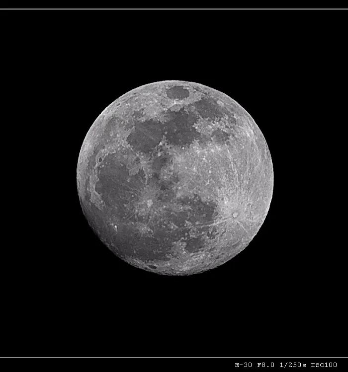 爷青结！奥林巴斯宣布转让相机业务