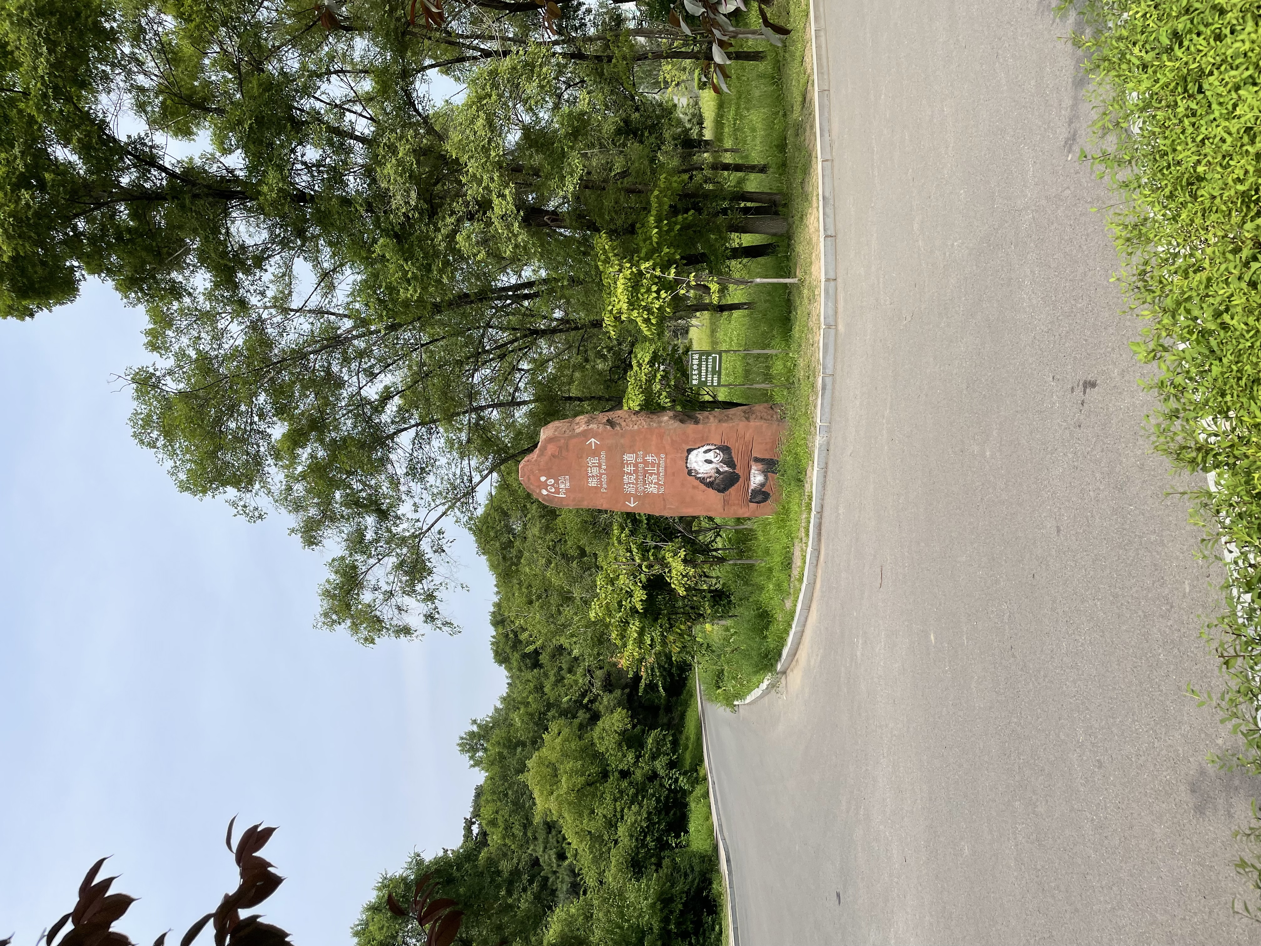 沈阳森林动物园春游,五一小长假去沈阳森林动物园游玩