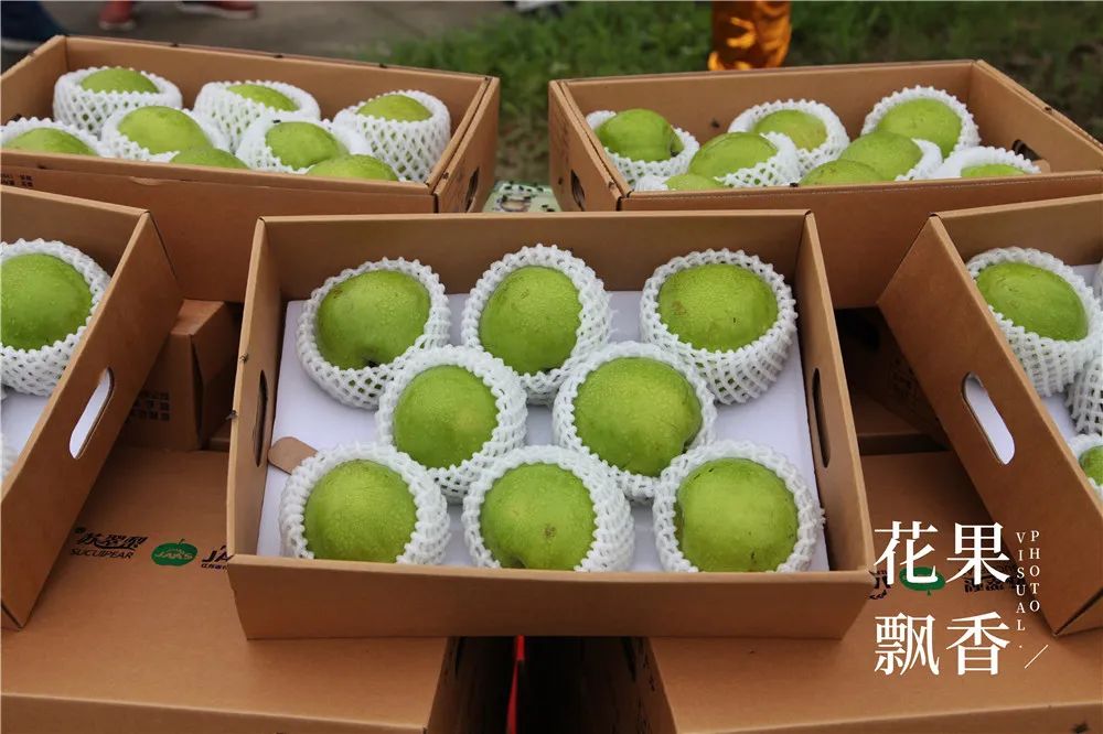 农业十个投资九个坑,农业有很多坑