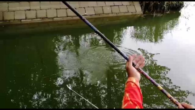 天气转凉大河野钓,天气炎热钓浅滩
