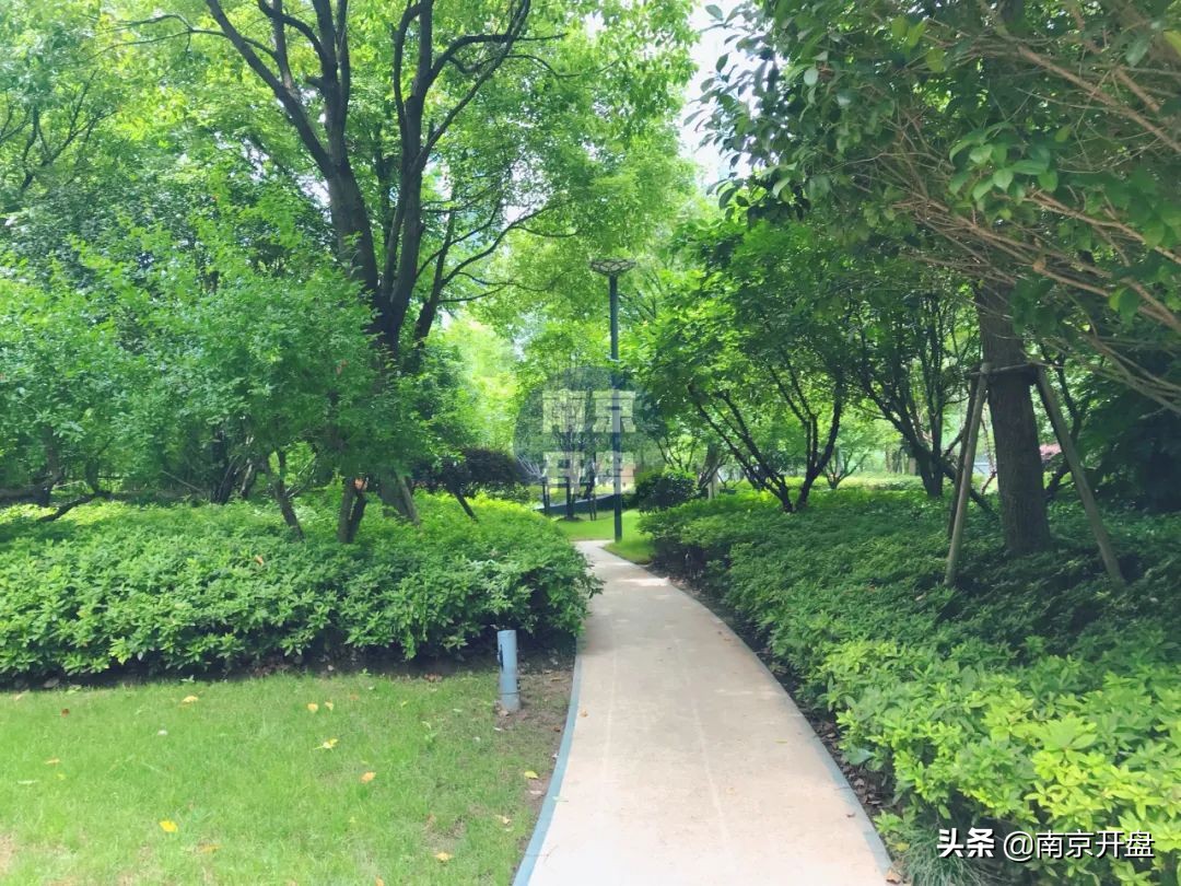 8.3万/㎡成交！今天实探仁恒次新房，实景美炸了