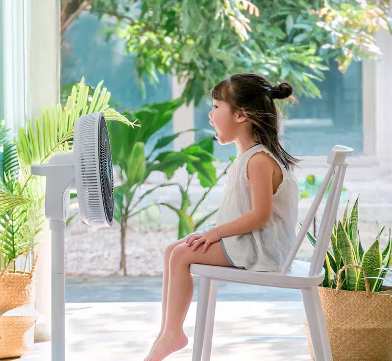 巴慕达风扇扇叶,巴慕达中国版多少钱