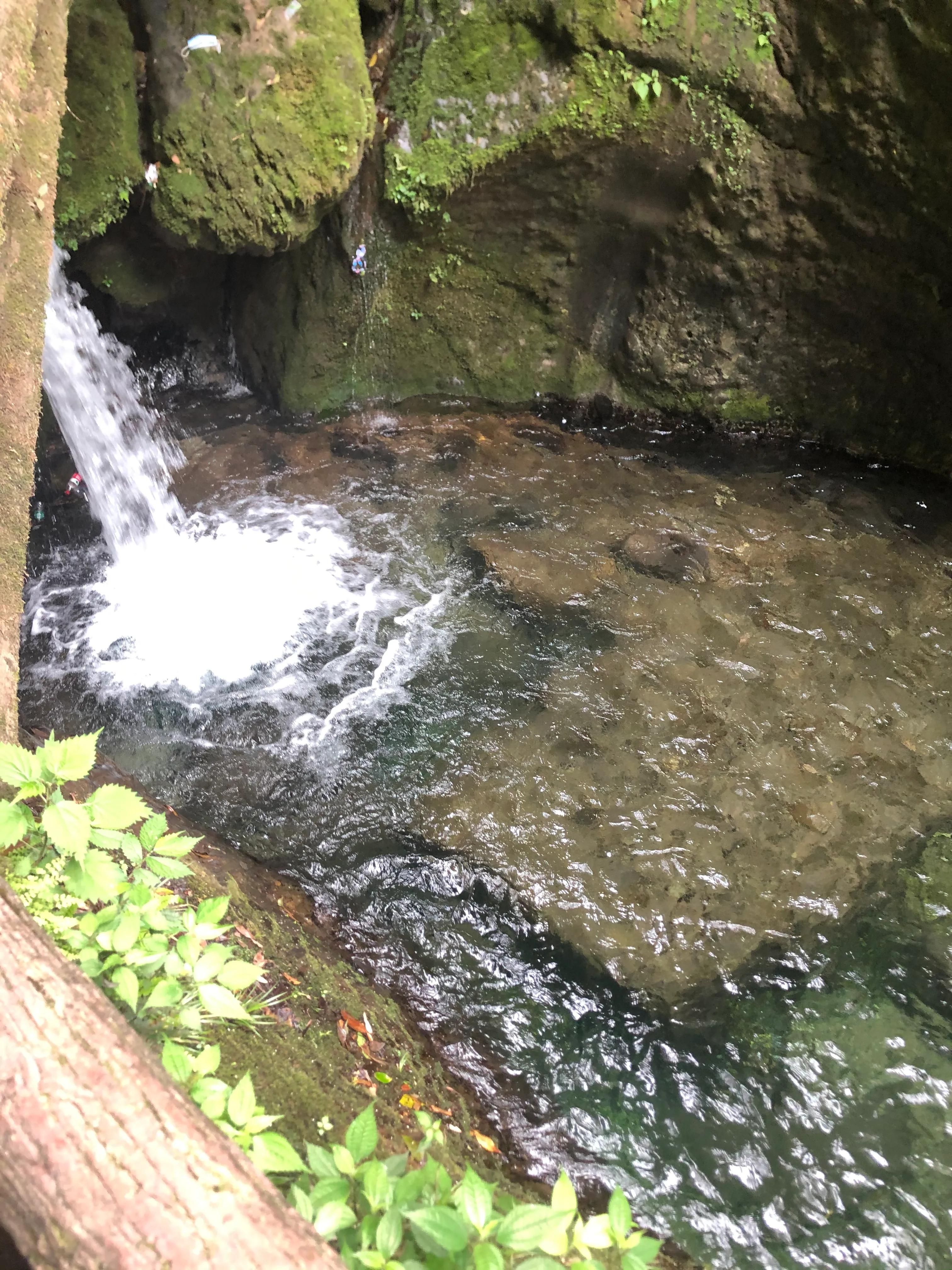 青城山后山一日游耍水攻略,青城山后山最值得去的地方