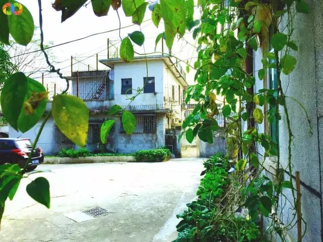 从平安路到桃园路的旧街，独属于老香洲的记忆