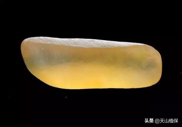 金丝玉的收藏价值和前景,金丝玉的收藏价值及图片