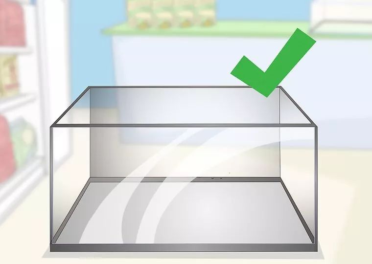 合法饲养宠物蛇,宠物蛇饲养视频