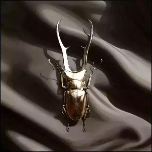 45岁韩国大叔,韩国45岁大叔