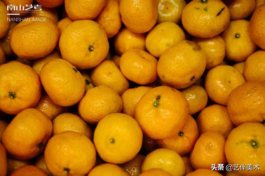 南山艺考画室怎么样收费,西安南山艺考画室官方账号