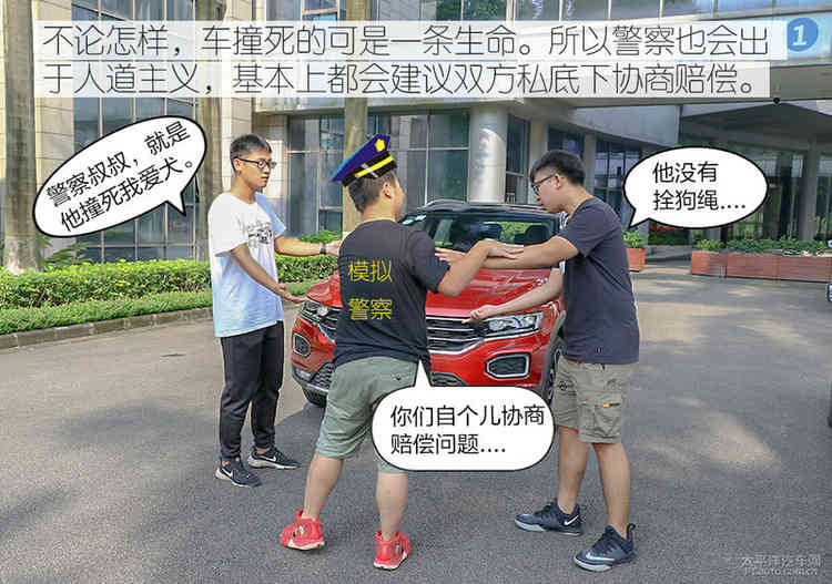 避之唯恐不及车撞死狗后该如何处理？